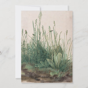 Large Piece of Turf by Albrecht Durer