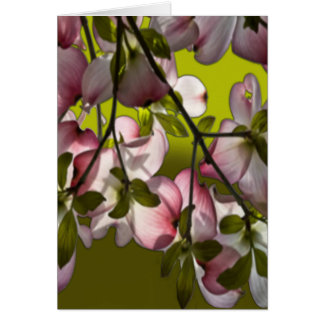 Large Pink Dogwood Flowers - Green