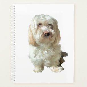 Large Planner Havanese Dog
