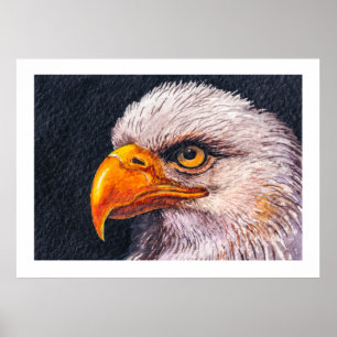 Large Powerful Bald Eagle Poster