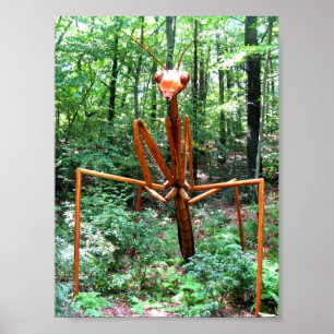 Large Praying Mantis Poster