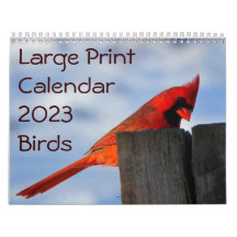 Large Print Calendar 2023 - Birds