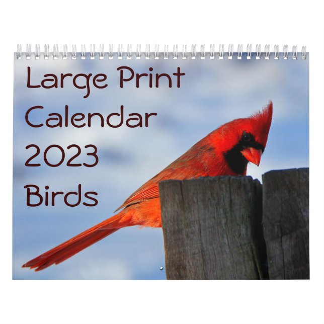 Large Print Calendar 2023 - Birds (Cover)