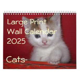Large Print Wall Calendar 2025 - Cats