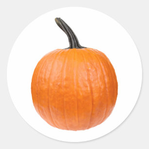 Large Pumpkin Classic Round Sticker