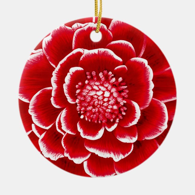 Large Red and White Dahlia Flower   Ceramic Ornament (Front)