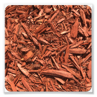 Large red cedar mulch pattern landscape contractor photo print