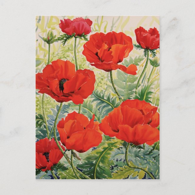 Large Red Poppies Postcard (Front)