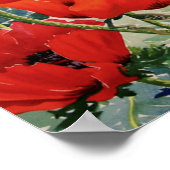 Large Red Poppies Poster (Corner)