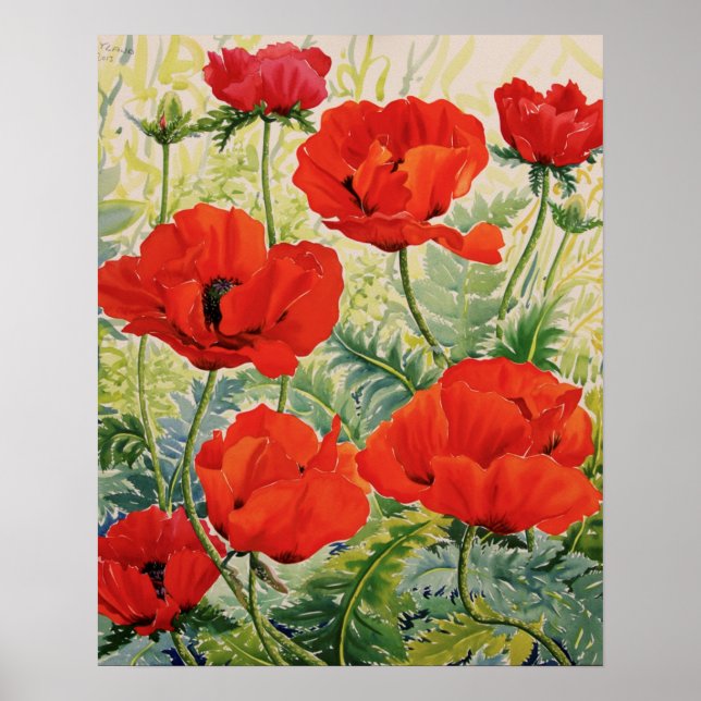 Large Red Poppies Poster (Front)