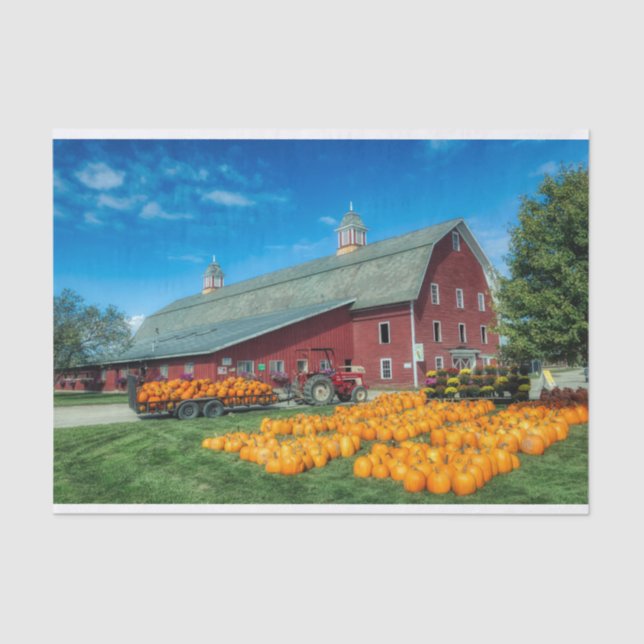 Large Red Vermont Barn With Pumpkins Tissue Paper (Front)