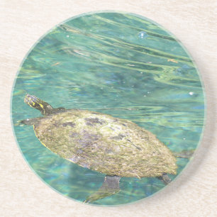 large river turtle swimming coaster
