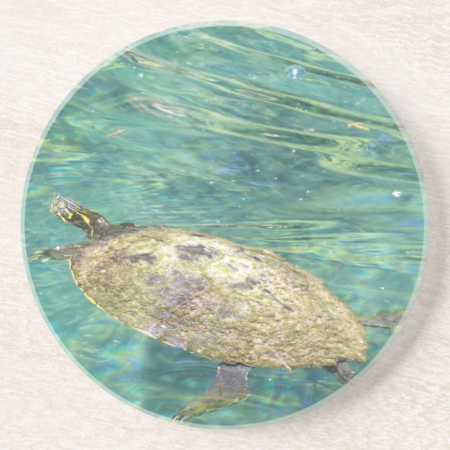 large river turtle swimming coaster (Front)