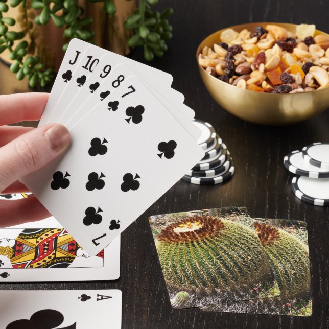 Large Round Prickly Cactus Playing Cards (In Situ)