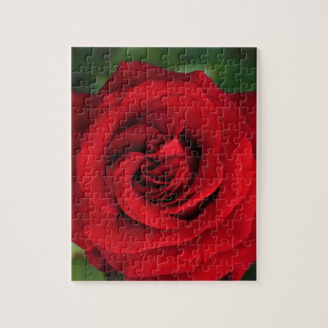 Large Single Red Rose Up Close Jigsaw Puzzle (Vertical)