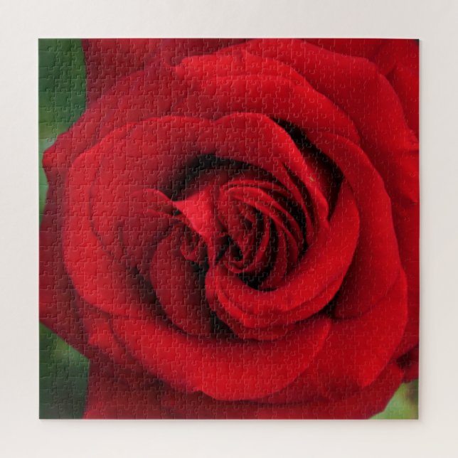 Large Single Red Rose Up Close Jigsaw Puzzle (Vertical)