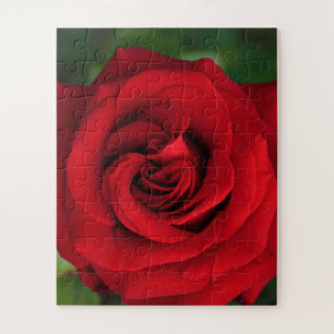 Large Single Red Rose Up Close Jigsaw Puzzle