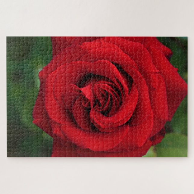 Large Single Red Rose Up Close Jigsaw Puzzle (Horizontal)