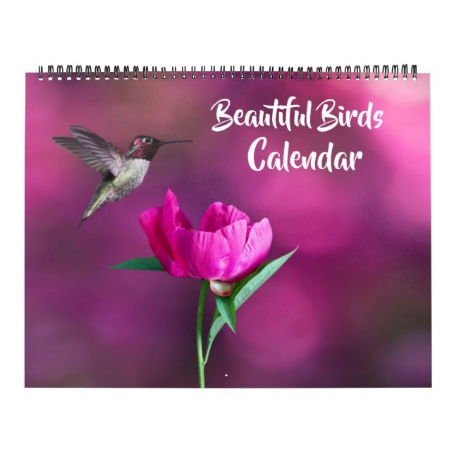 Large Size Beautiful Birds Calendar (Cover)