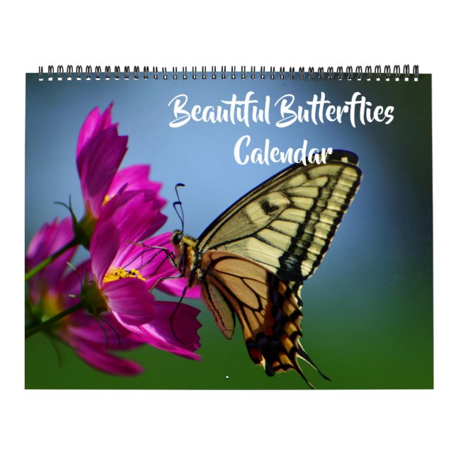 Large Size Beautiful Butterflies Calendar (Cover)