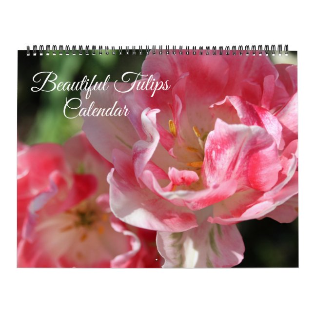 Large Size Tulips Calendar (Cover)
