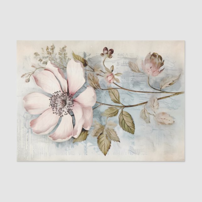 Large Slightly Abstract Pale Pink Long Stem Peony Tissue Paper (Front)