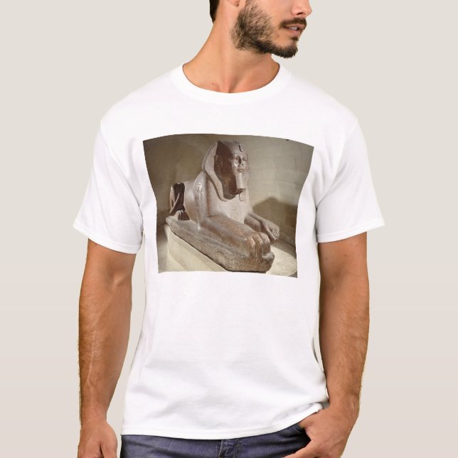 Large Sphinx, from Tanis (granite) T-Shirt (Front)