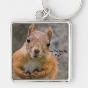 Large Square Squirrel Key Ring