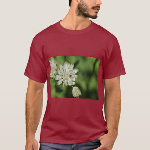 Large Star Umbel Botanical Illustration T-Shirt