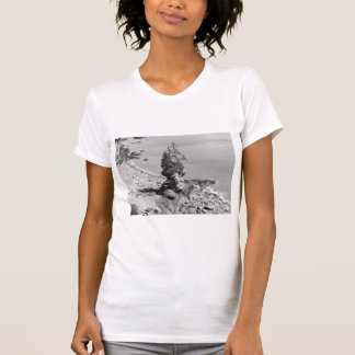 Large T-shirt for ladies, tree alone