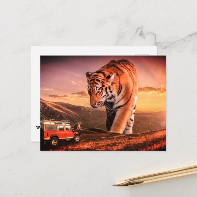 Large Tiger Postcard (Front/Back In Situ)