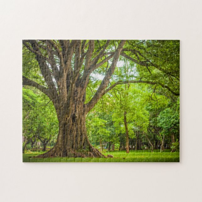 Large Tree in the Park Jigsaw Puzzle (Horizontal)