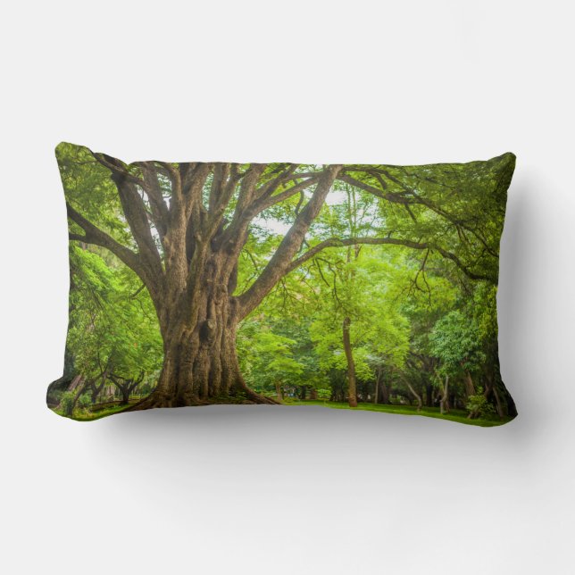 Large Tree in the Park Lumbar Cushion (Front)