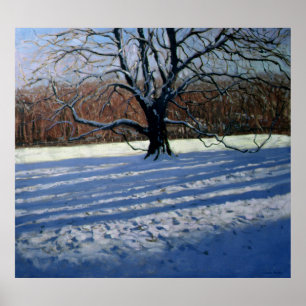 Large Tree Snow Calke Abbey Poster