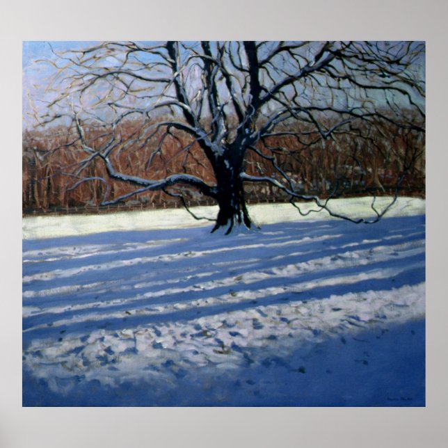 Large Tree Snow Calke Abbey Poster (Front)
