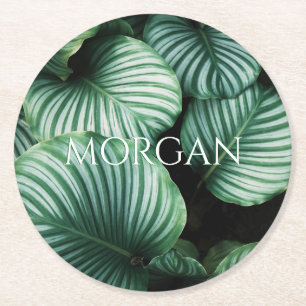 Large Tropical Green Leaves, White Serif Name Round Paper Coaster