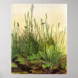 Large Turf - Albrecht Durer - c1503 Poster