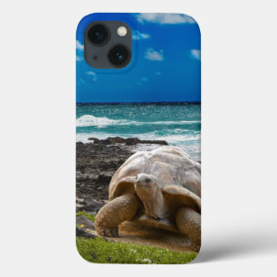 Large turtle at the sea edge iPhone 13 case