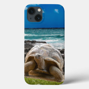 Large turtle at the sea edge iPhone 13 case