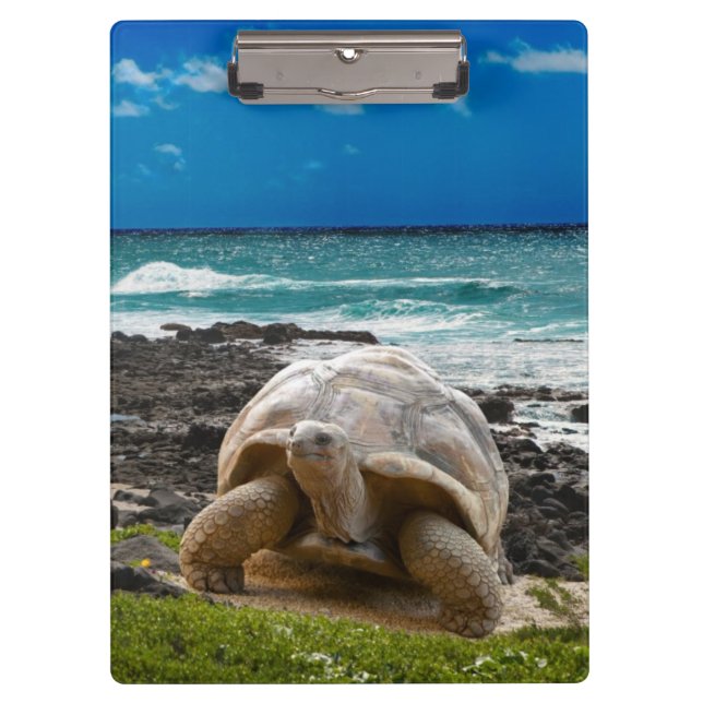 Large turtle at the sea edge clipboard (Front)
