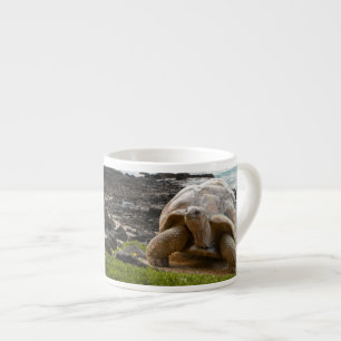 Large turtle at the sea edge espresso cup