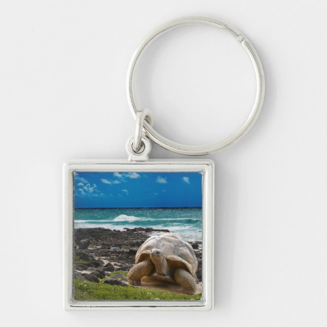 Large turtle at the sea edge key ring (Front)