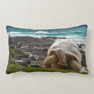 Large turtle at the sea edge lumbar cushion