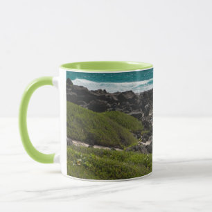 Large turtle at the sea edge mug