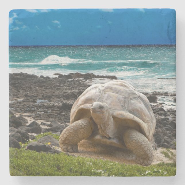Large turtle at the sea edge stone coaster (Front)