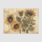 Large Vintage Sunflowers on Script