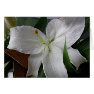 large white flower