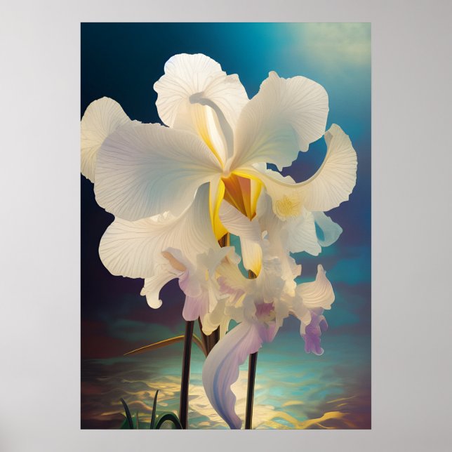 Large White Iris Blue Background Poster (Front)