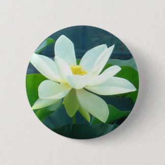 large white lily 6 cm round badge