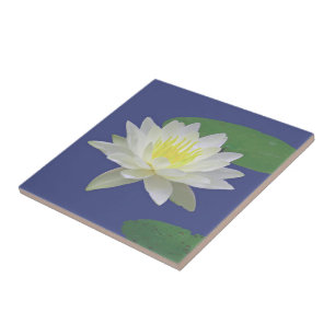 "LARGE WHITE LOTUS BLOSSOM"CERAMIC TILE/TRIVET TILE